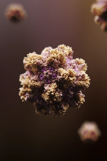 Link to the Virus Structures 3 portfolio page