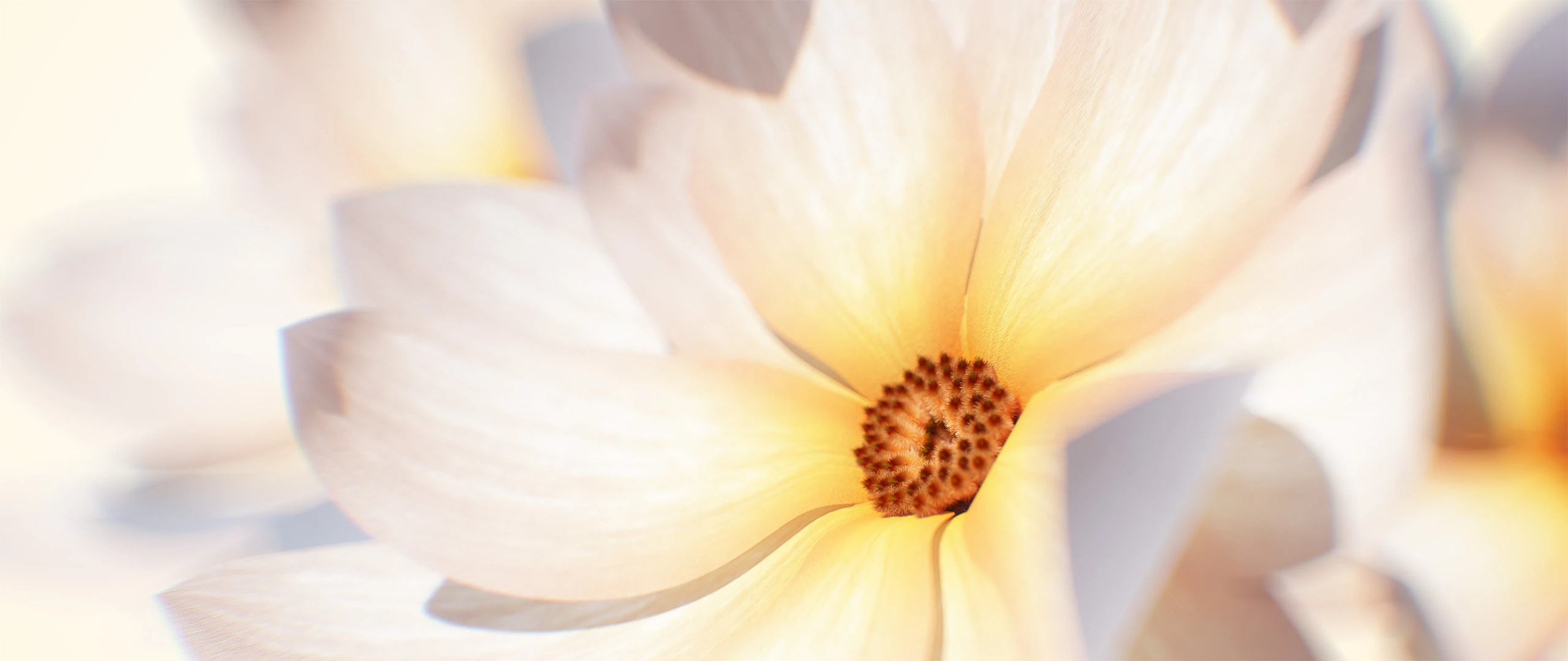 3D render of Flowers